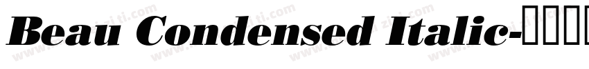 Beau Condensed Italic字体转换